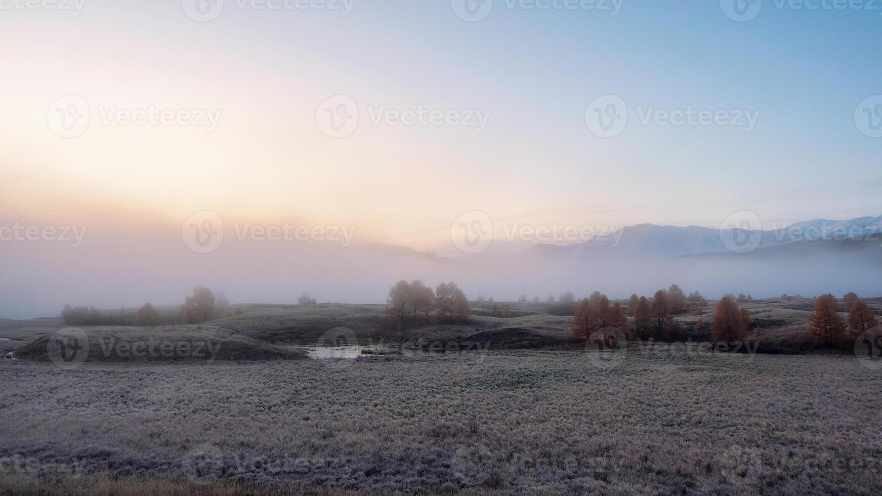 swampy plain of a wide area at dawn photo