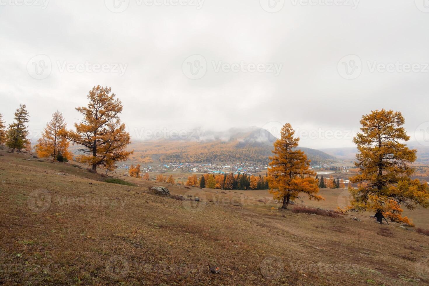 autumn landscape of foggy morning in the village photo