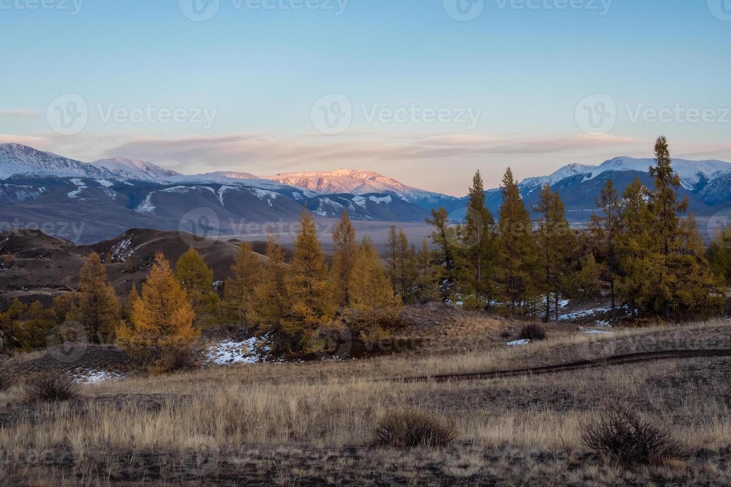 Amazing evening alpine landscape with a high mountain peak behind the forest photo