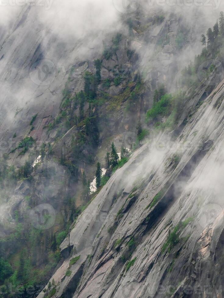 Vertical granite wall of a mountain with a tree forest above a cliff, against a background of foggy haze. Spectacular mountain background. Concept of survival in difficult conditions. photo