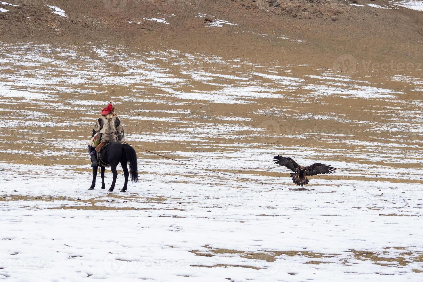 Male hunter on a horse with his back to the camera trains a golden eagle. Eagle hunters are people who train and hunt with golden eagles in Mongolia. A traditional sport in Kazakhstan and Mongolia. photo
