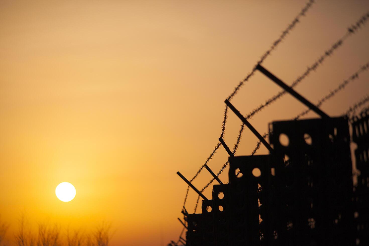 Fence covered with barbed razor wire photo
