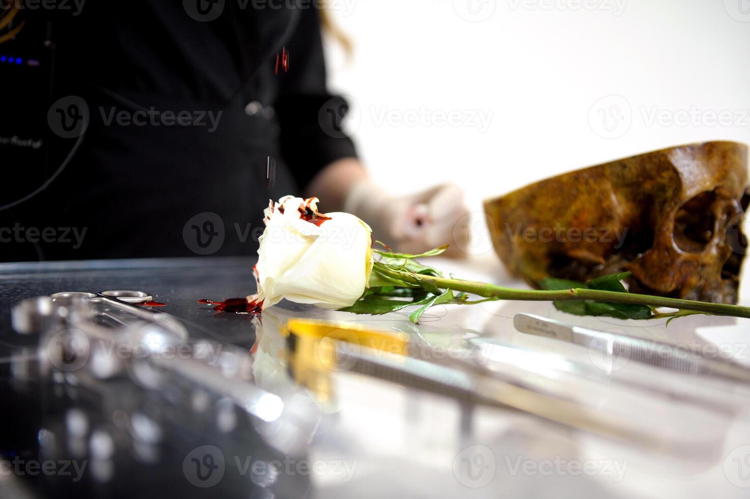 Decorative flat lay composition with cosmetics and flowers. Top view on white background photo