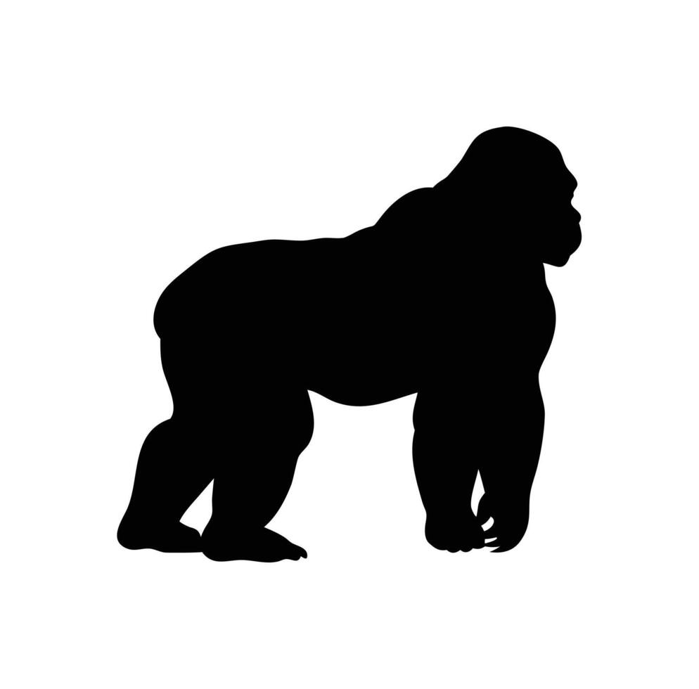 Jungle King Kong Silhouette vector