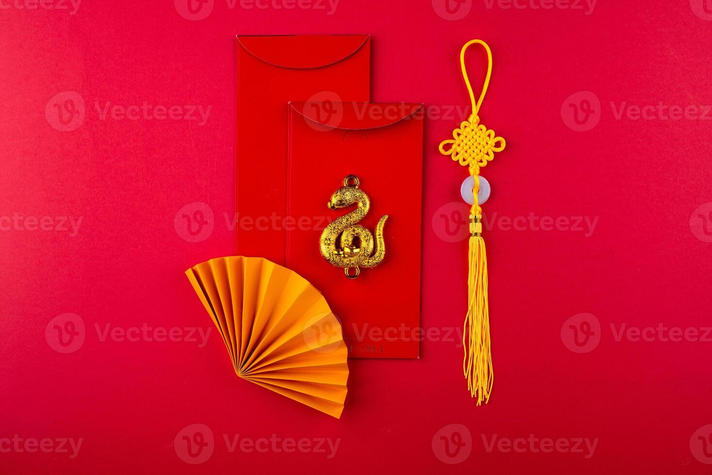 Chinese new year concept. Lunar year of snake photo