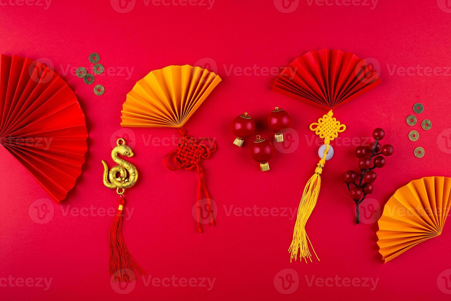 Chinese new year concept. Lunar year of snake photo