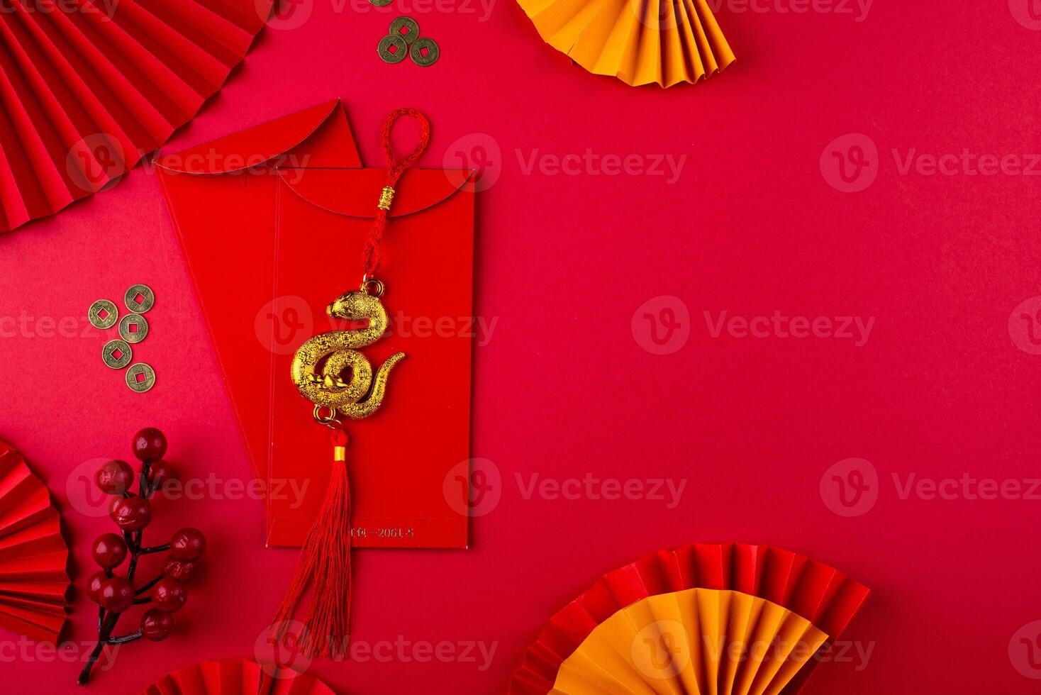 Chinese new year concept. Lunar year of snake photo