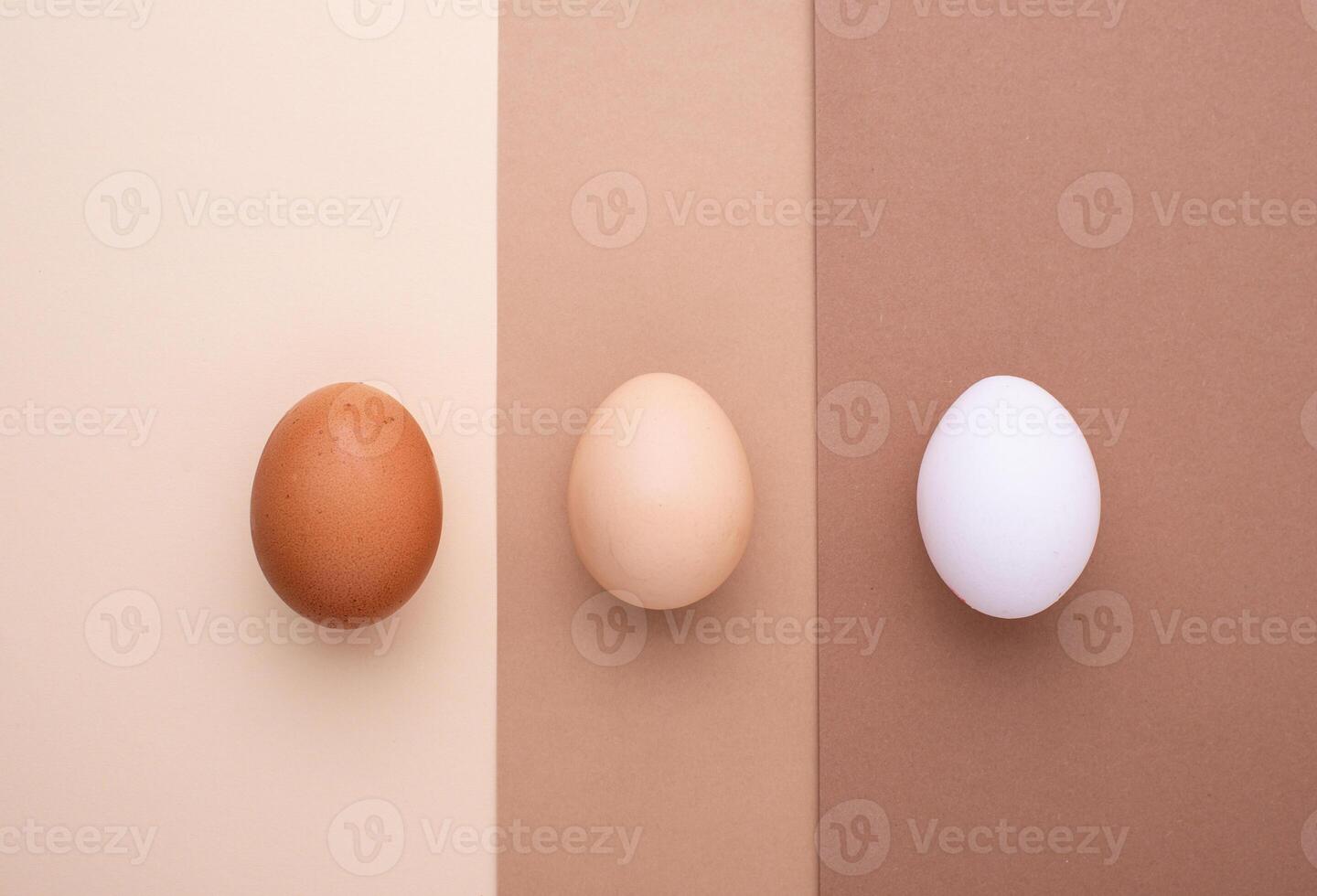 Different color of eggs, modern trendy style photo