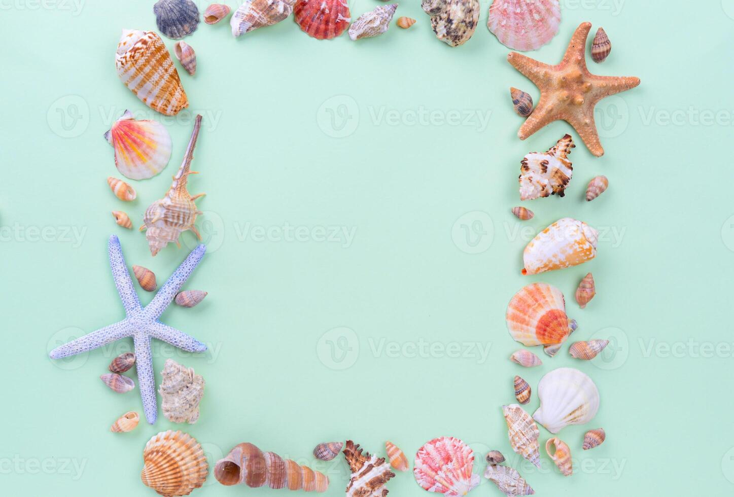 Seashells and starfish frame on green background photo