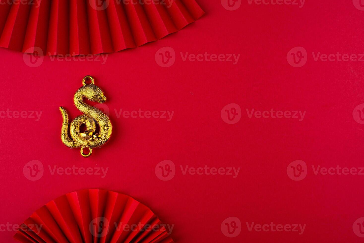 Chinese new year concept. Lunar year of snake photo