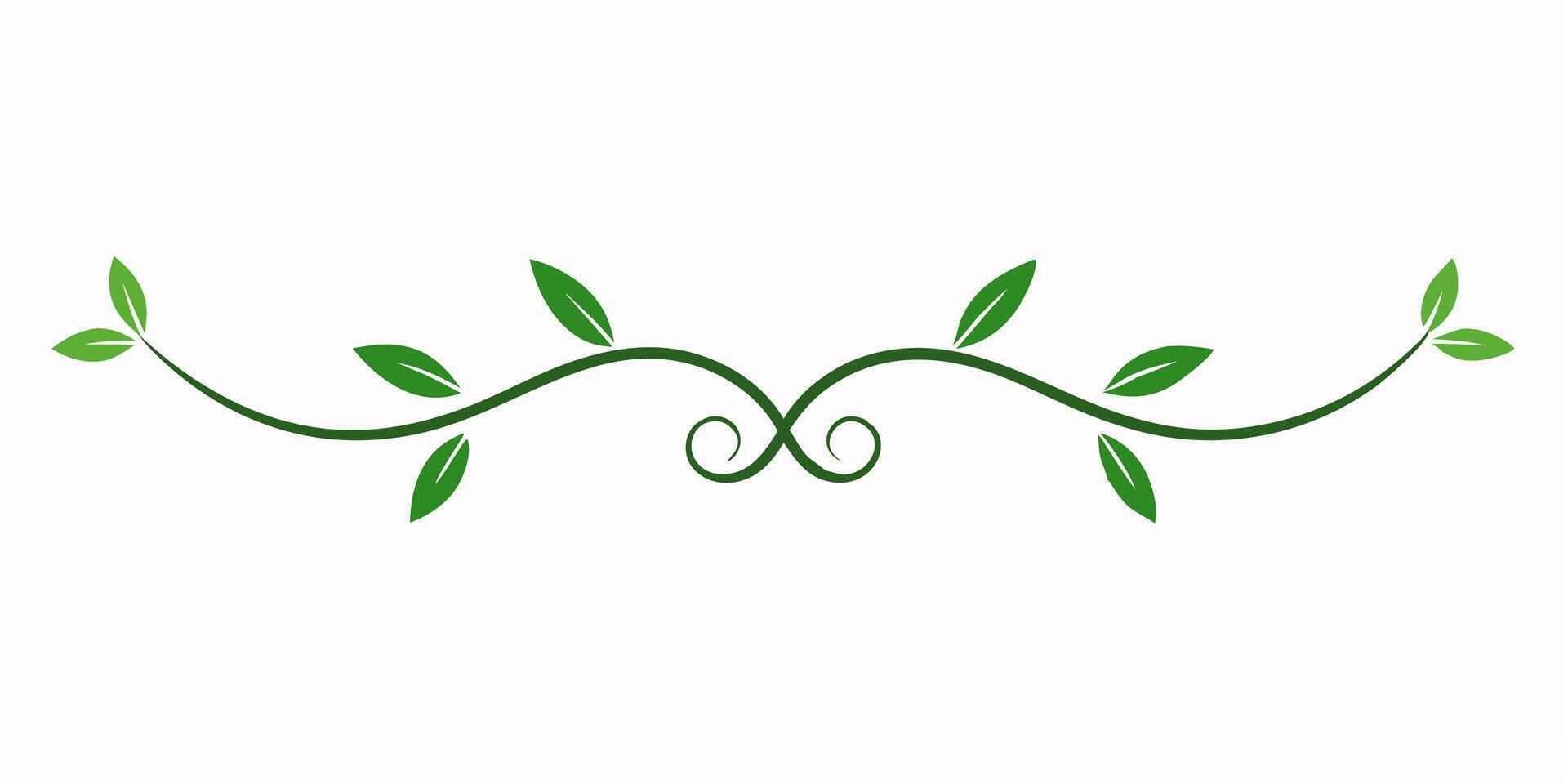 Elegant vine underline ornament for design and decoration projects vector