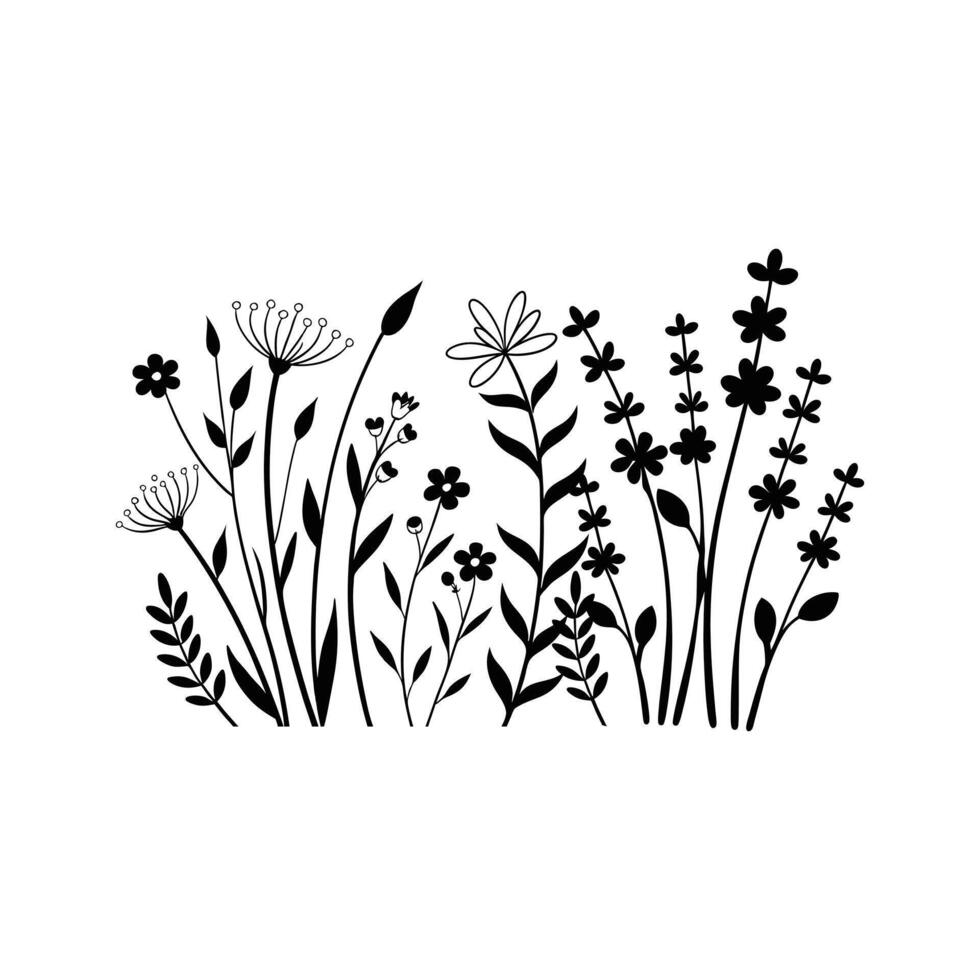 Botanical Wildflowers Clipart Design Elements vector