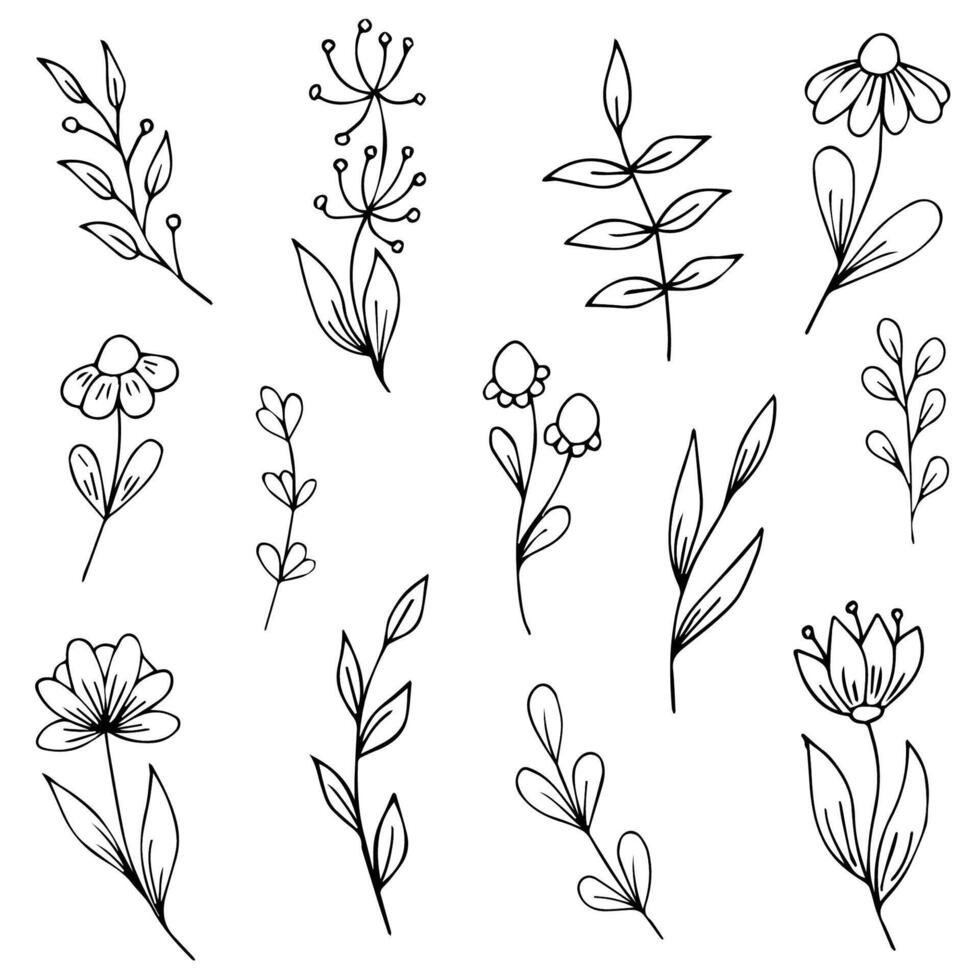 Set of spring flowers hand drawn black outline on white background vector