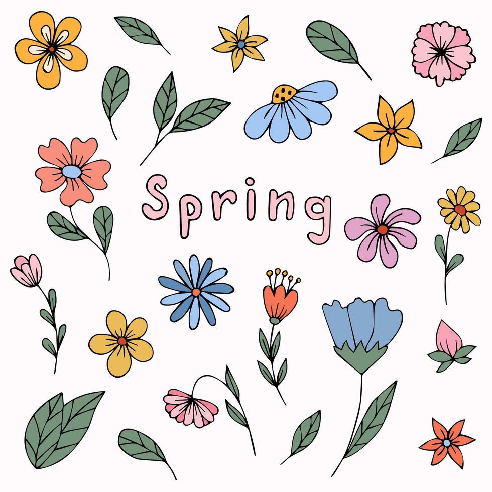 Set of spring flowers hand drawn vector