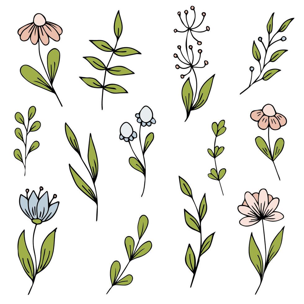 Set of spring flowers hand drawn on white background vector