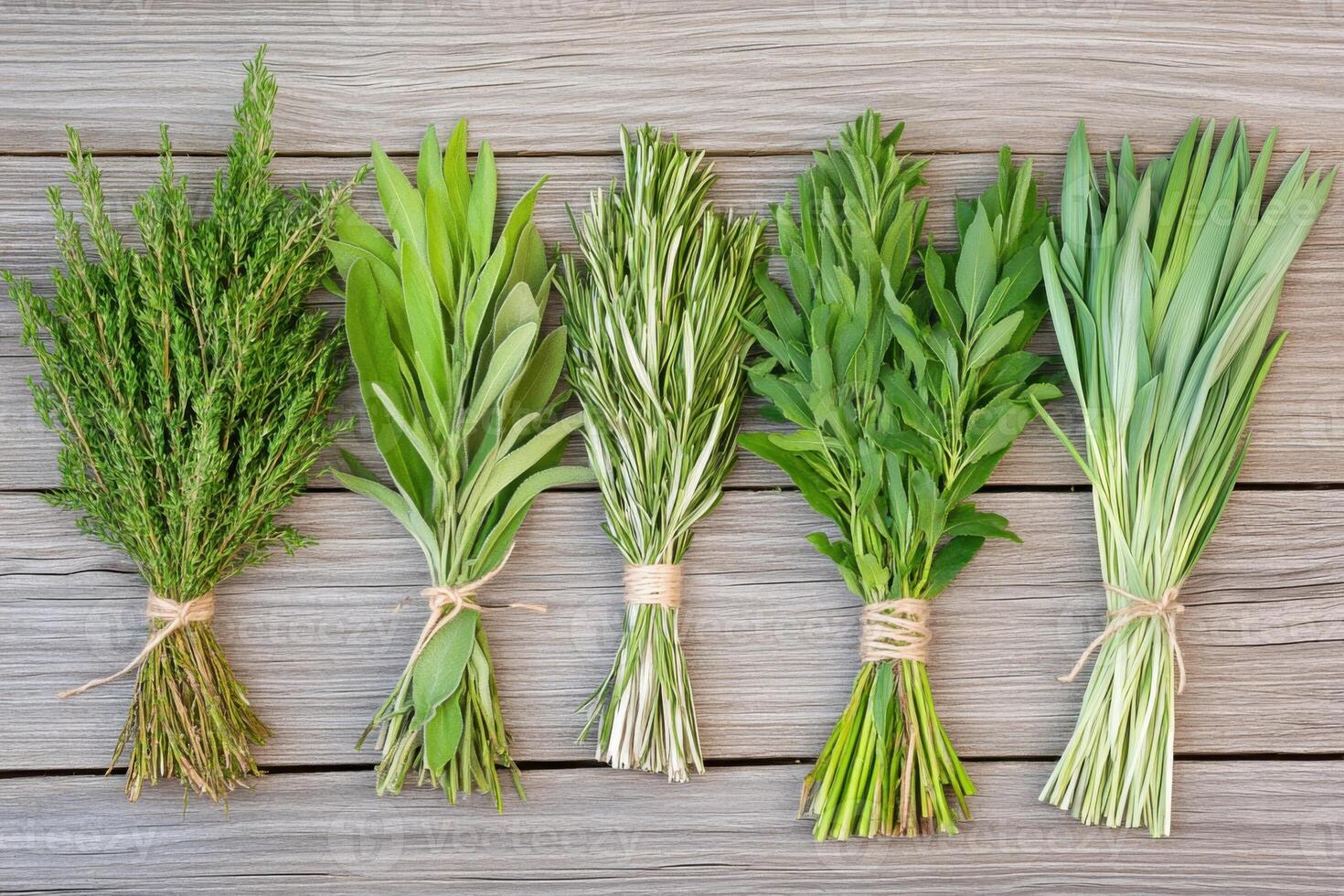 Collection of Native American herbs including sage, sweetgrass, and cedar arranged in bundles on a wooden surface illuminated by natural light photo