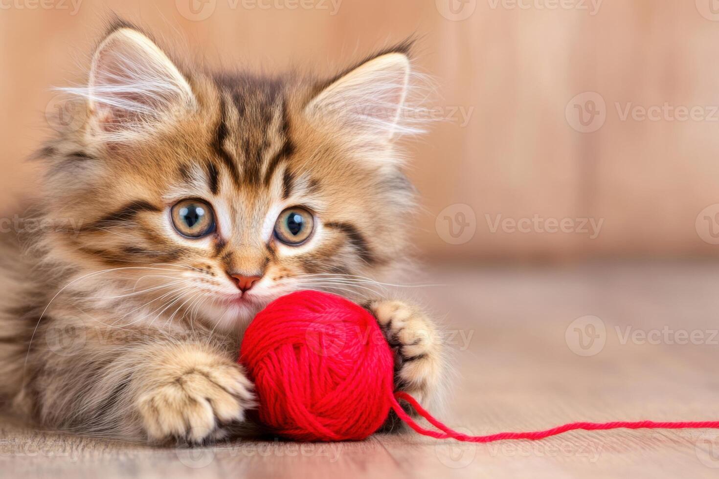 Fluffy tabby kitten plays with a red ball of yarn on wooden floor in softly lit room photo