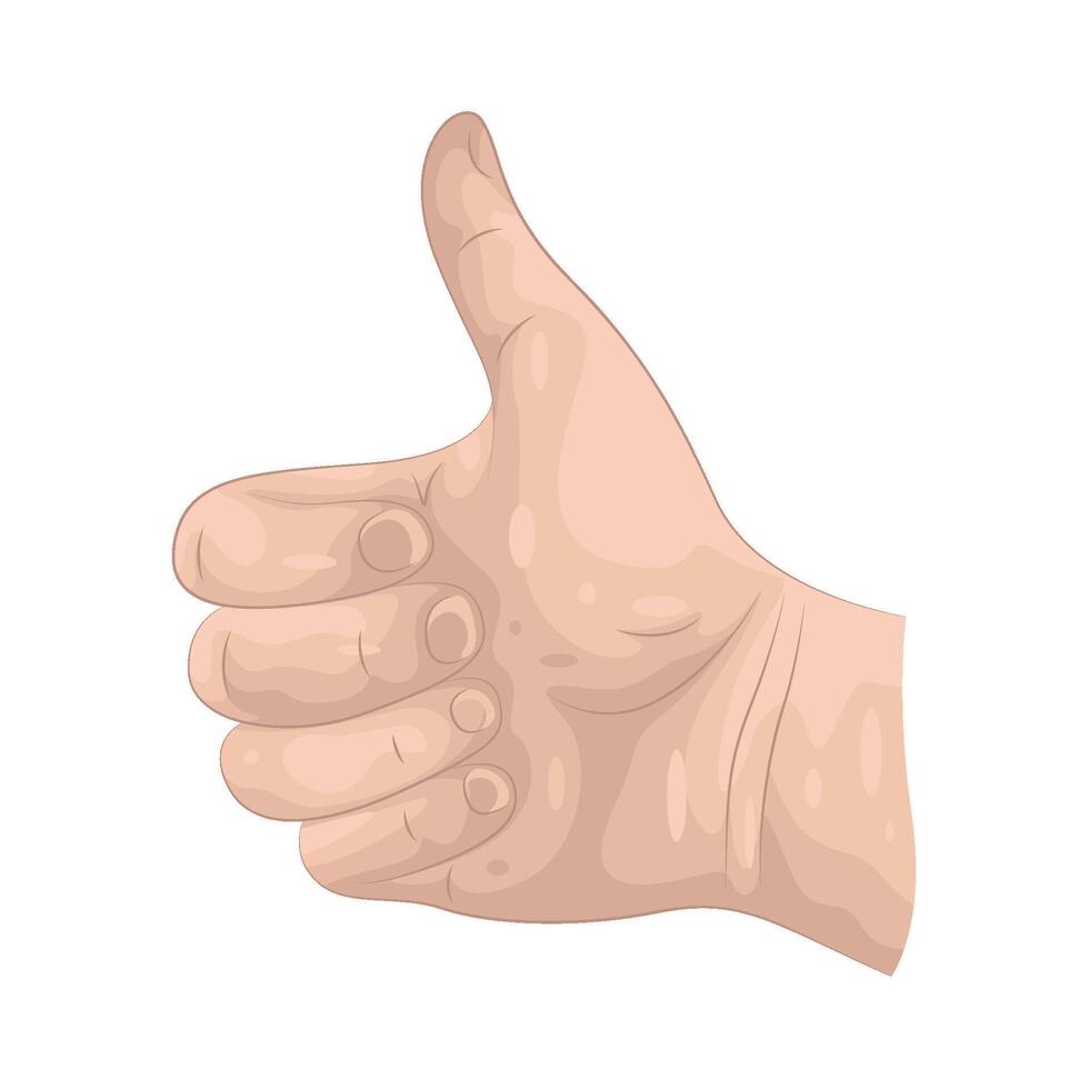 Thumbs Up Illustration vector