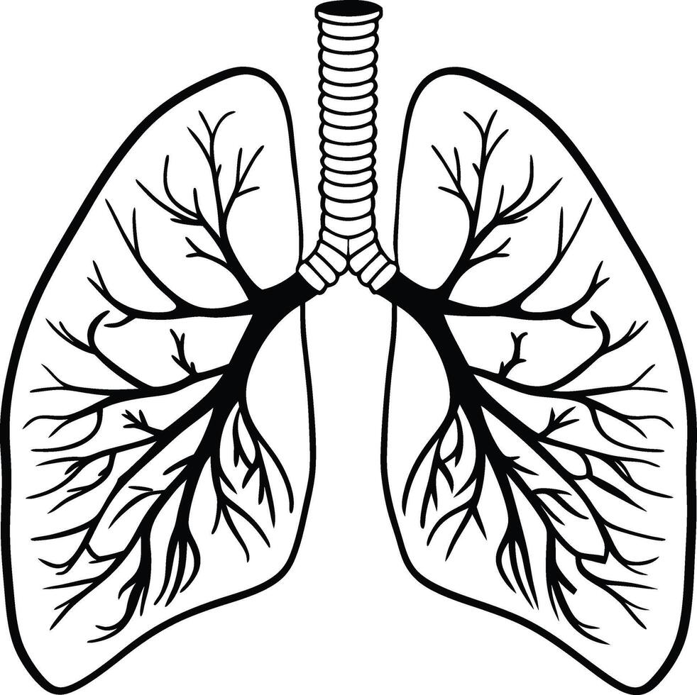 Detailed Black and White Lungs Silhouette vector