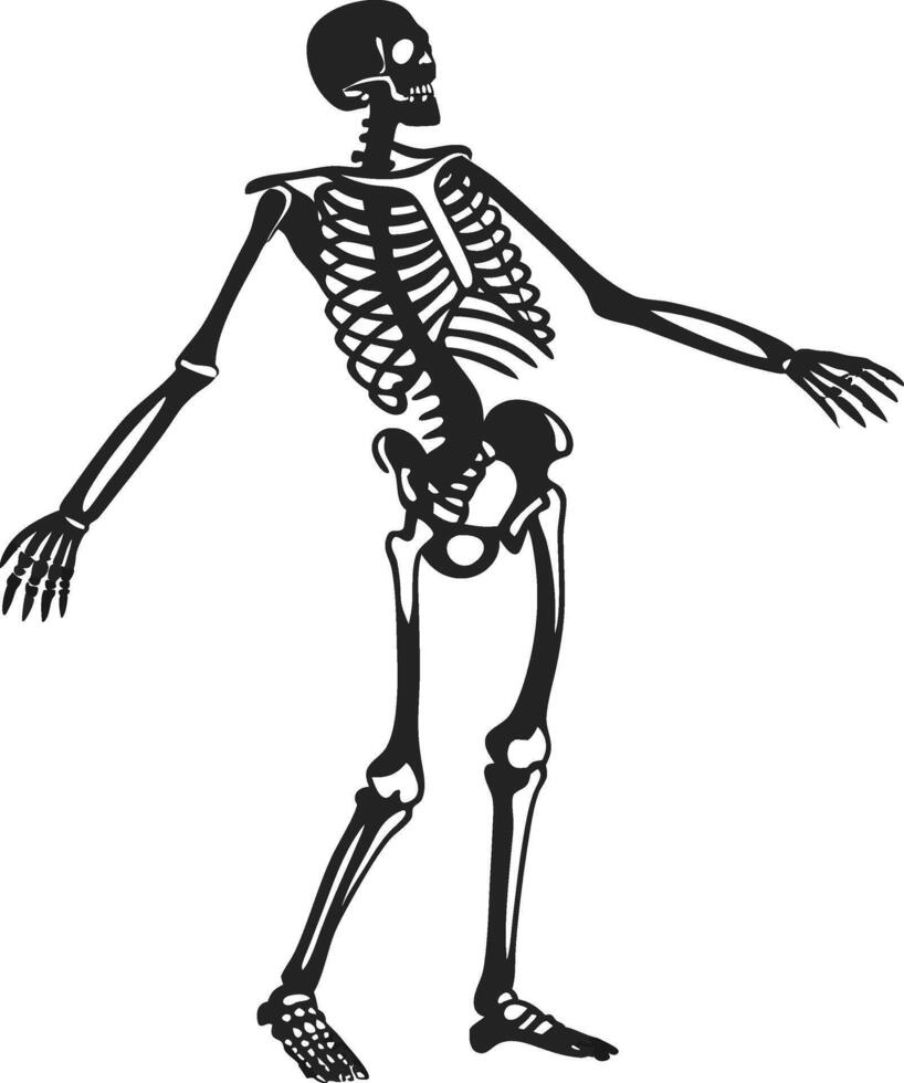 Halloween Skeleton Silhouette vector
