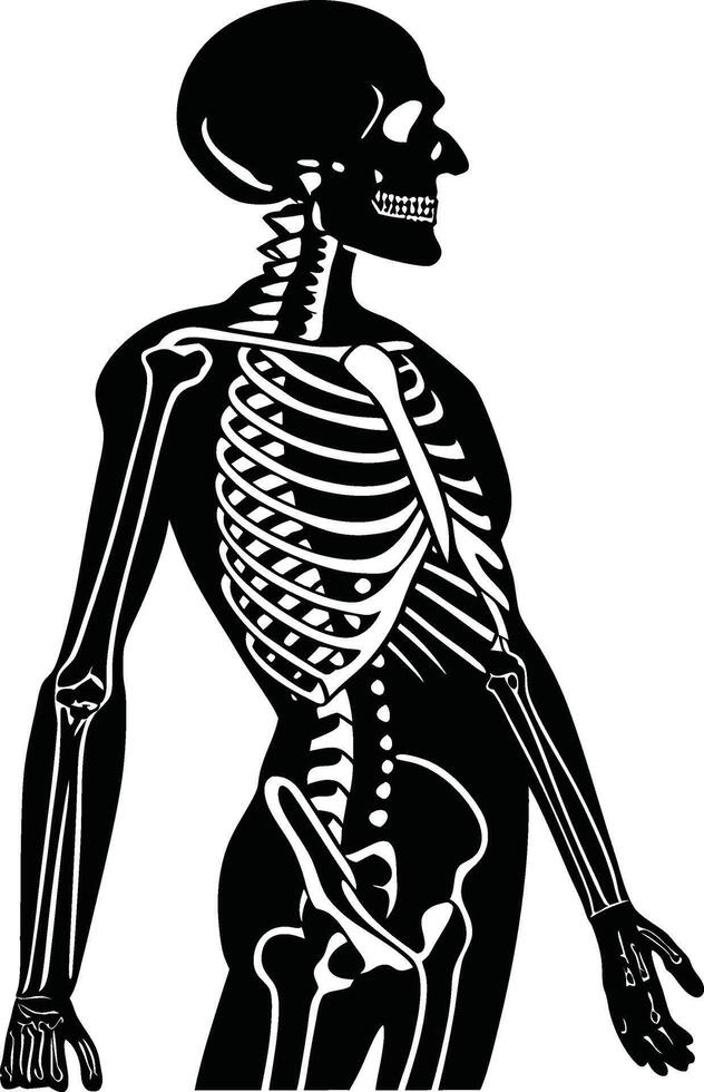 Artistic Skeleton Silhouette Illustration vector