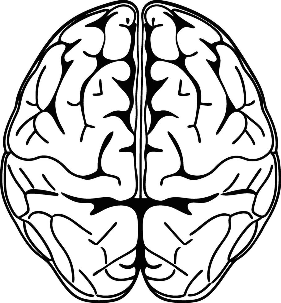 uman Brain Wireframe Silhouette vector