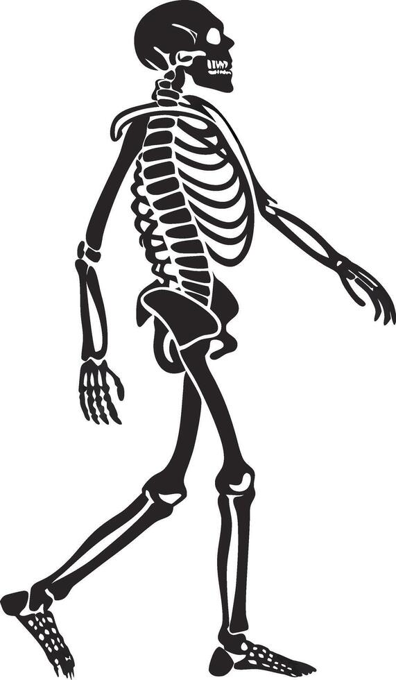 Black and White Skull and Bones Silhouette vector