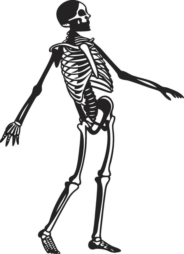 Human Skeleton Silhouette in Black and White vector