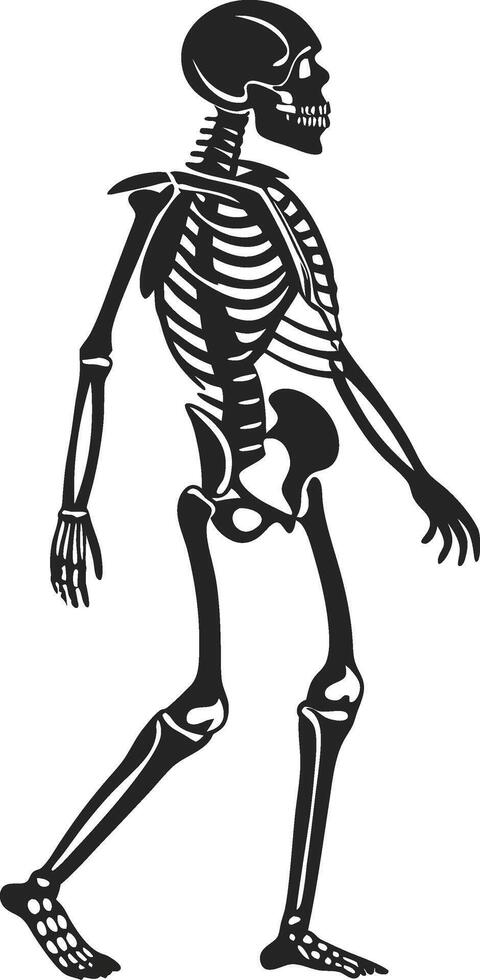 Skeleton Silhouette Black and White vector
