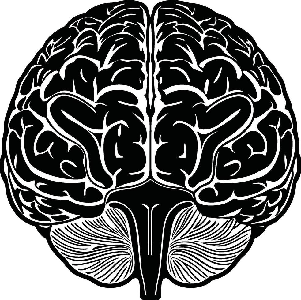 PrintMedical Brain Silhouette vector