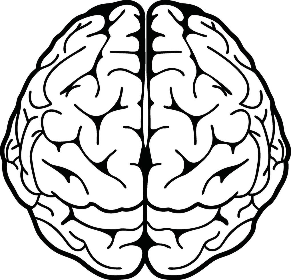 Brain Silhouette with Neurons vector
