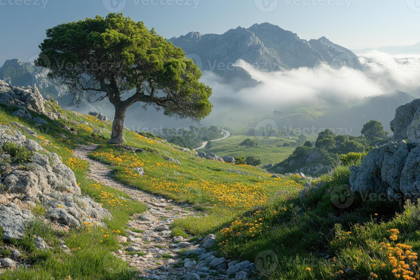 Mountain Path Leads to Majestic Peaks and Clouds photo