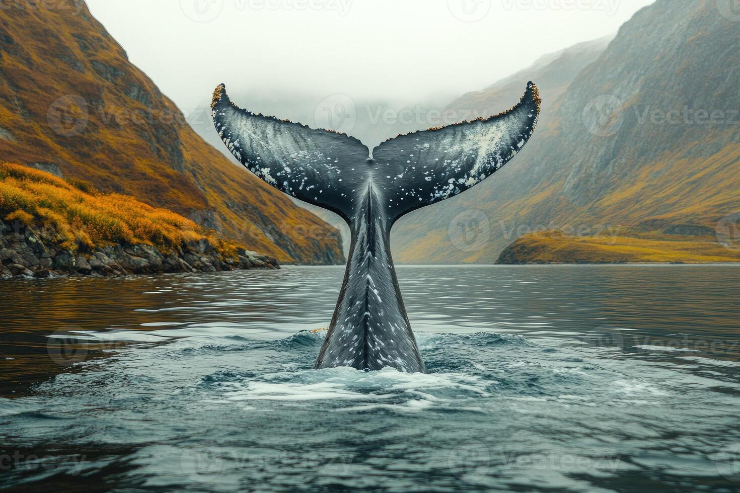 Whale Tail Emerging From Ocean Water Between Mountains photo