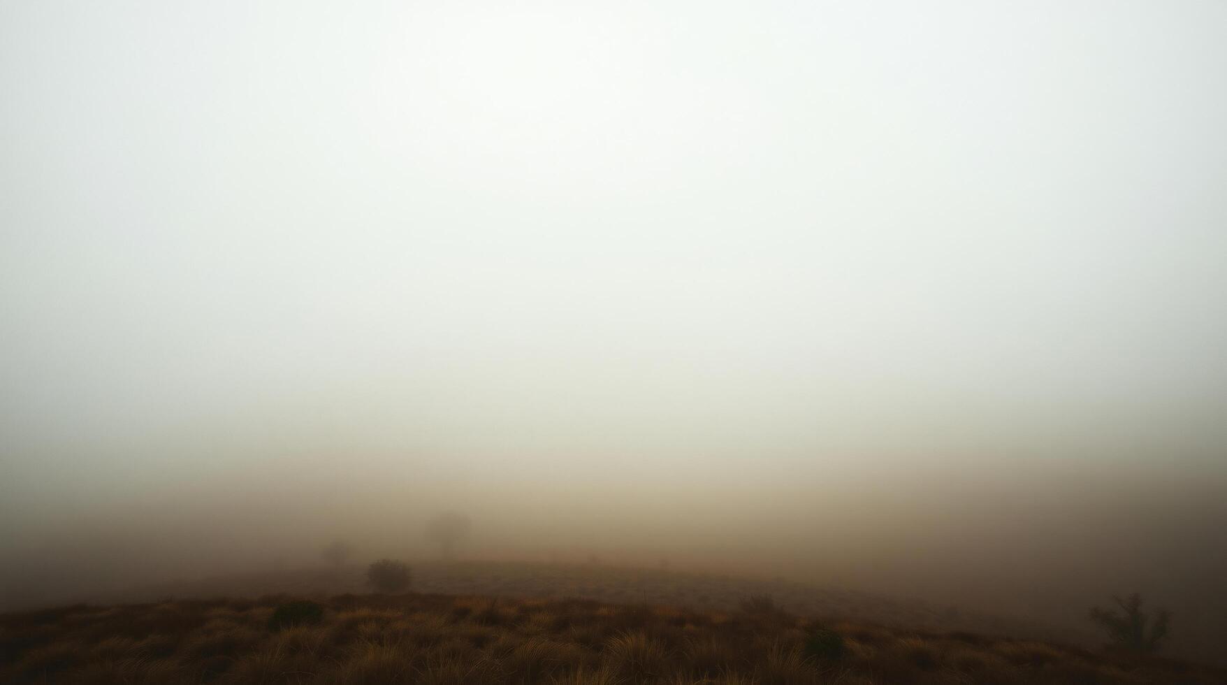 A foggy hill with trees and grass photo