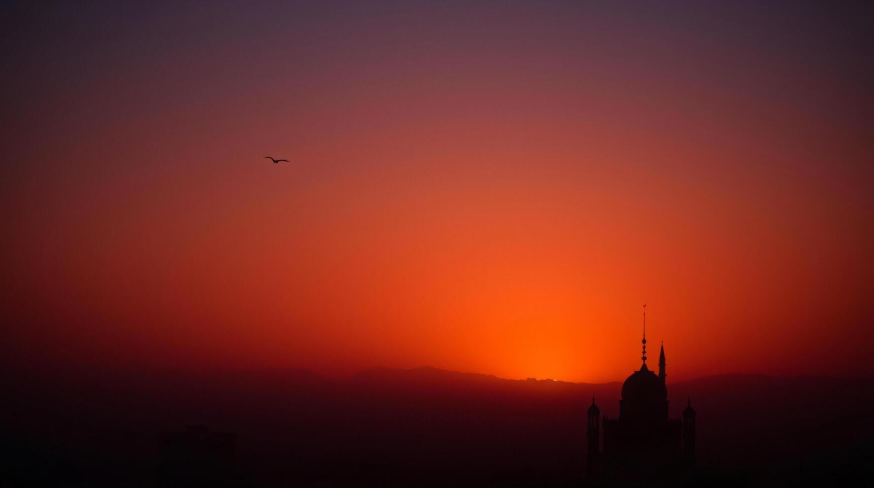 A bird flies over a building at sunset photo