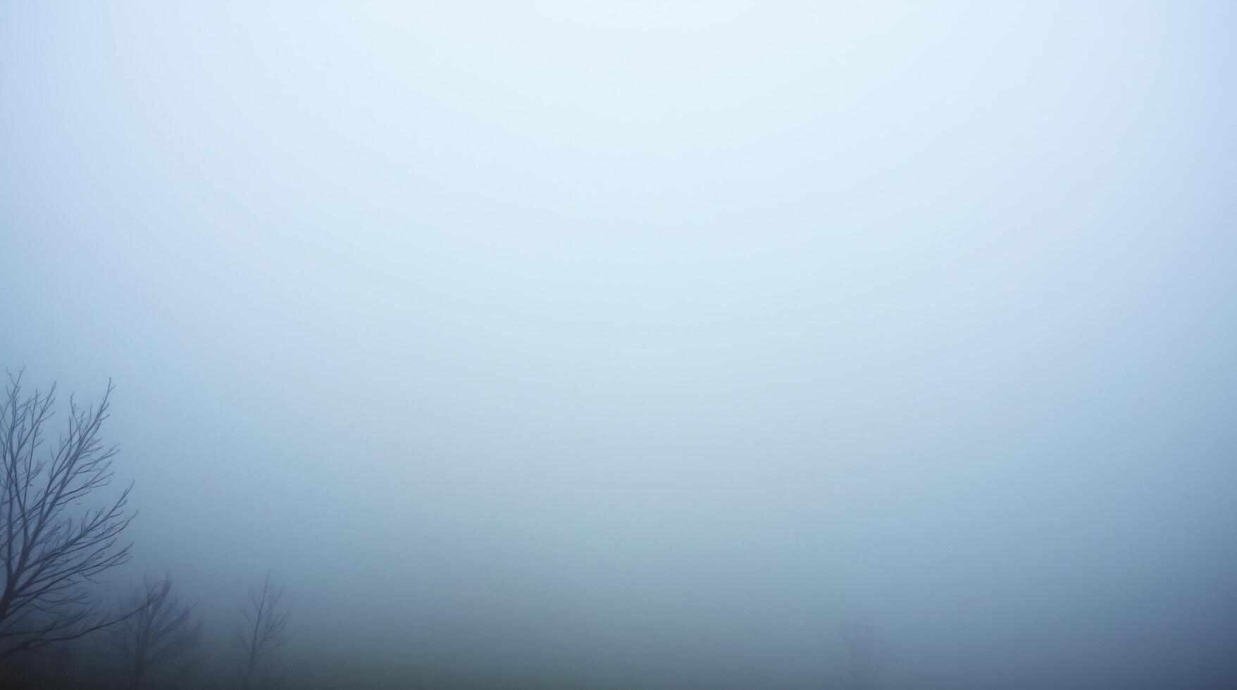 A foggy field with trees and grass photo