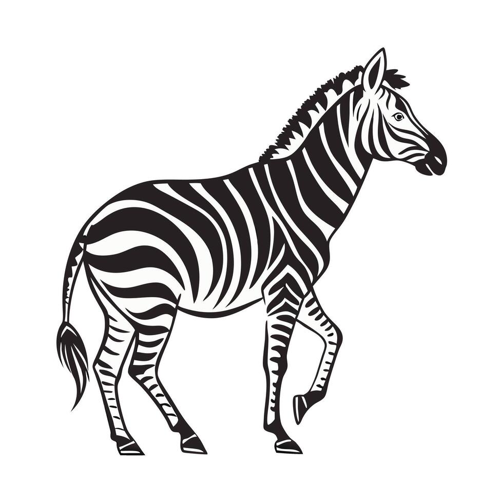 This is a simple, elegant black and white illustration of a zebra in a walking pose. vector
