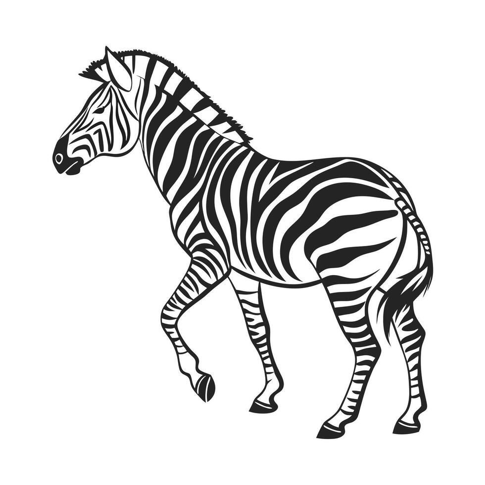 A stylized, black and white illustration of a zebra. vector