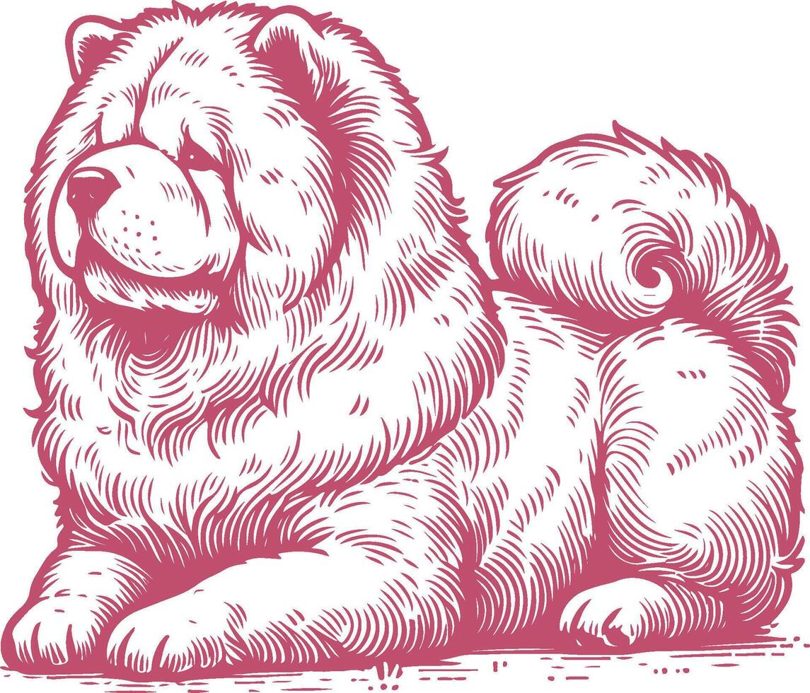 Vintage Style Lying Chow Chow Illustration - Hand Drawn Dog Artwork for Retro Design vector