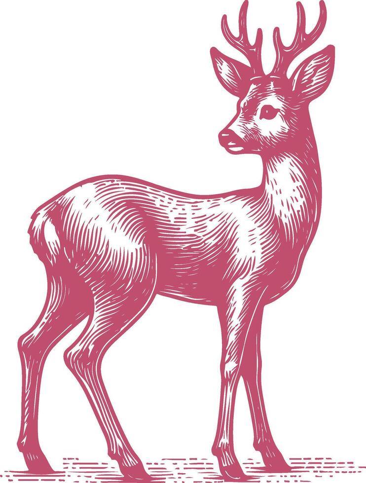Graceful Roe Deer Illustration in Its Natural Habitat vector