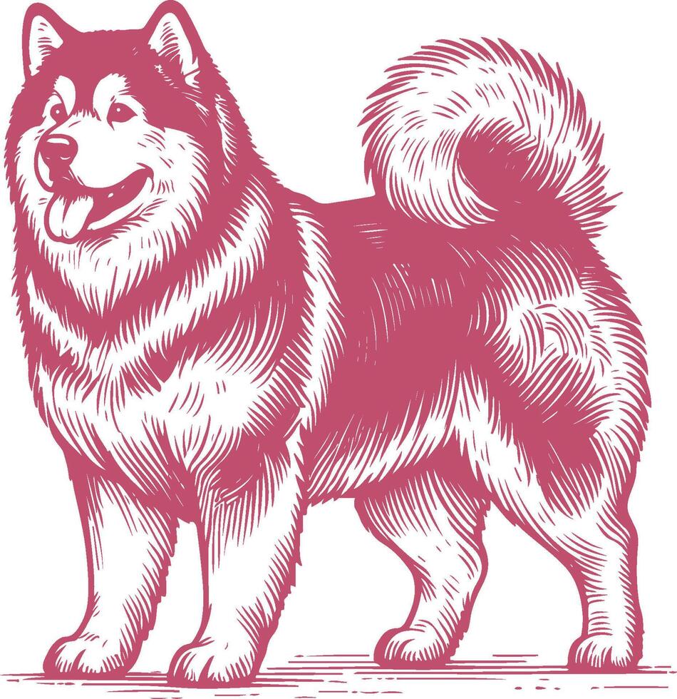 Classic Alaskan Malamute Vintage Illustration A Timeless Depiction of Power, Majesty, and Loyalty vector