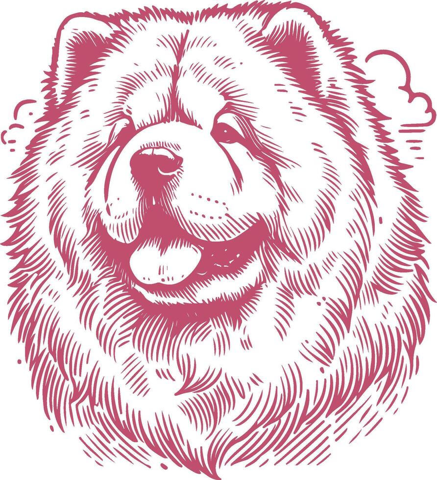 Classic Chow Chow Dog Head Illustration - Engraving Style Vintage Animal Artwork vector