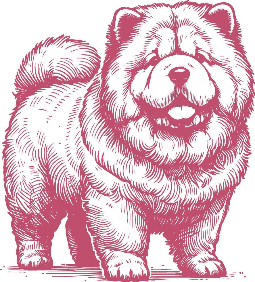 Vintage Hand Drawn Standing Chow Chow Dog Illustration - Retro Canine Artwork vector