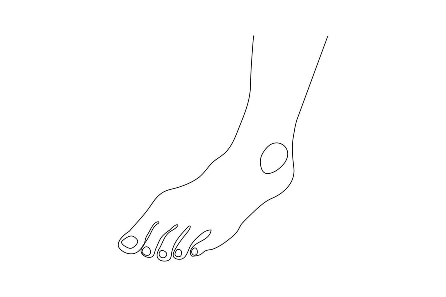 Elegant footprint line art drawing of isolated design vector