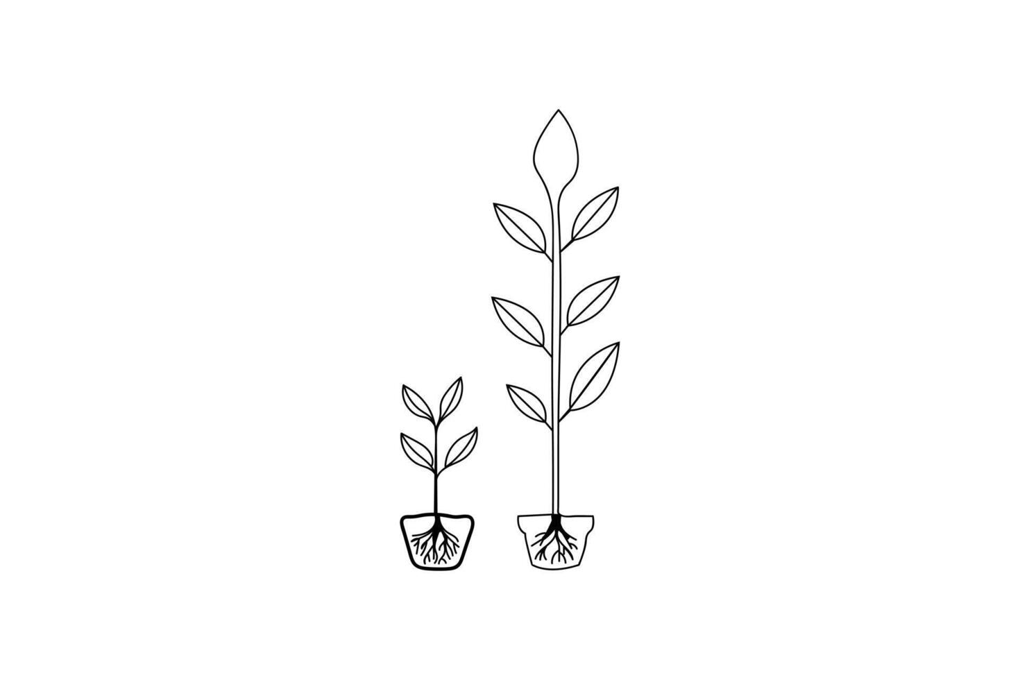 Eco friendly plant growth journey agriculture of life cycle single line art decoration outline design vector