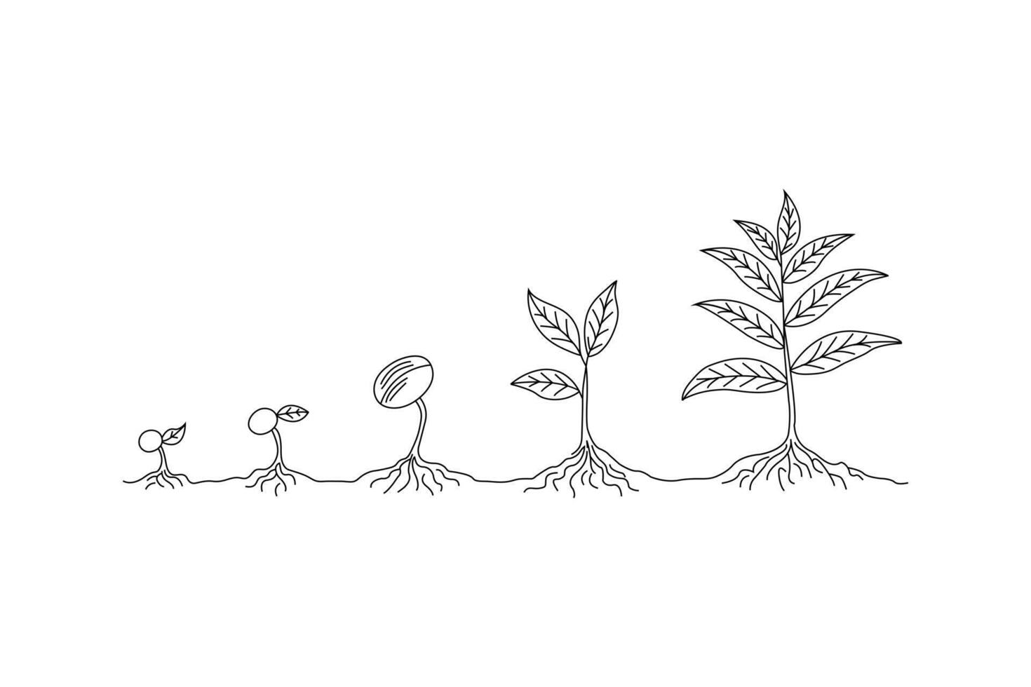 Eco friendly plant growth journey agriculture of life cycle single line art minimalist outline sketch vector