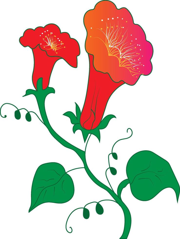 Most Download Flower Epas File vector