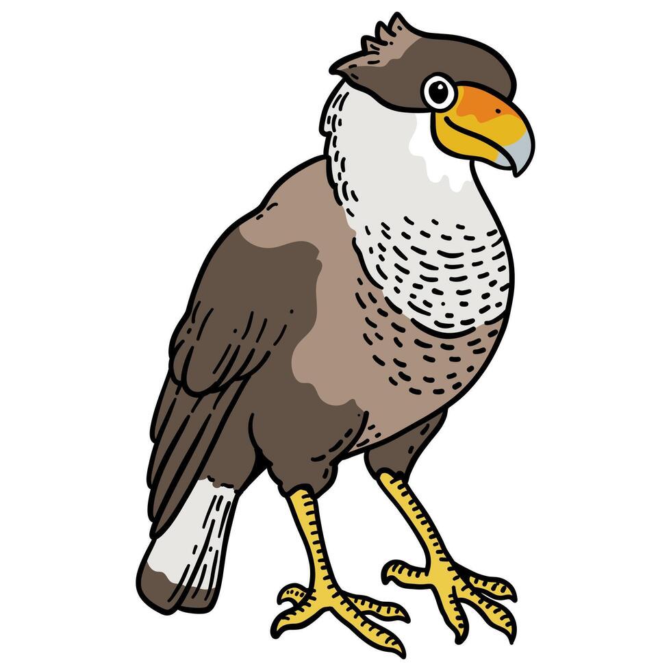 nature bird hand drawing illustration for logo mascot icon template design etc vector