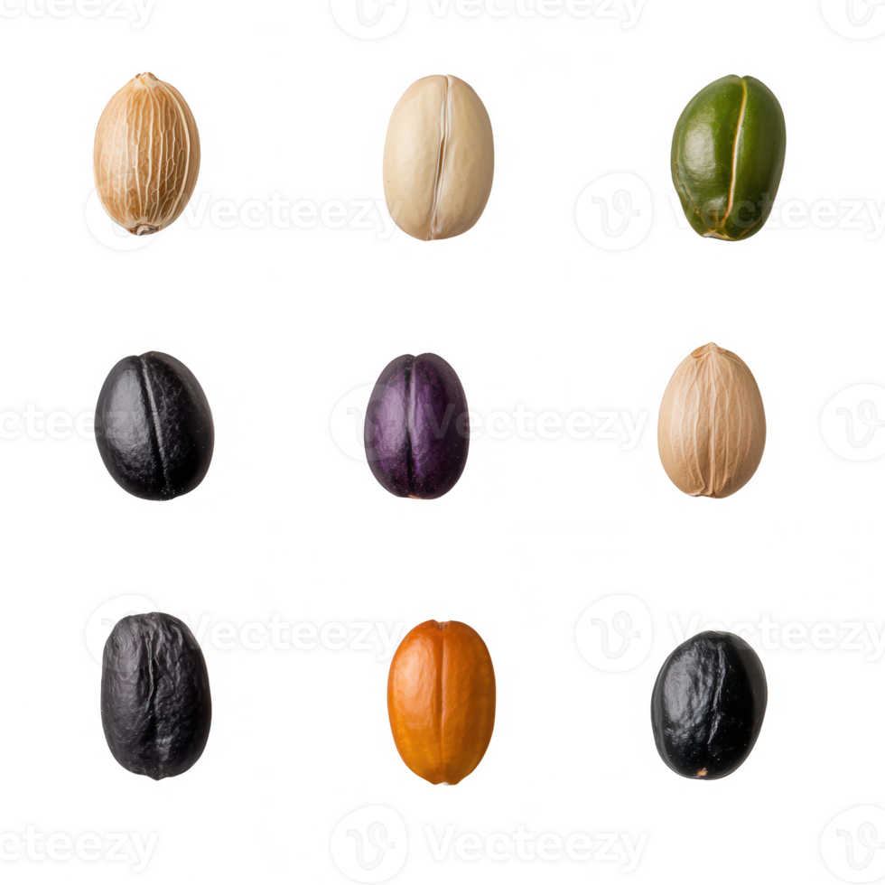 Colorful variety of coffee beans arranged in a grid pattern for visual appeal. png