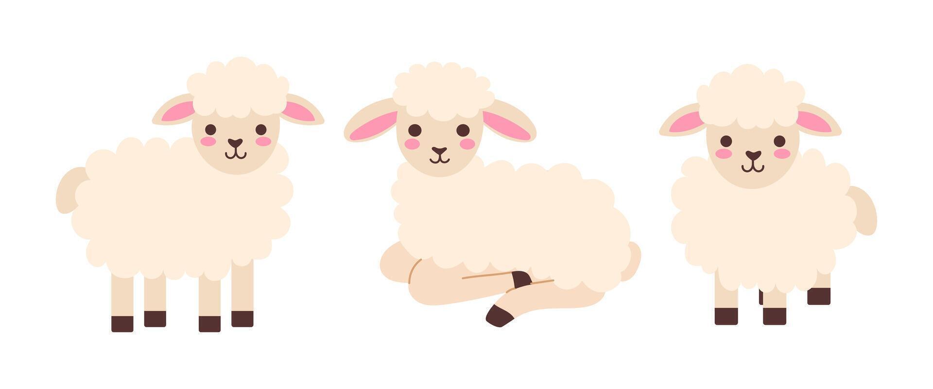 Three cute cartoon sheep are sitting in different positions vector